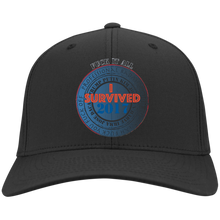 "Fuck It All - I Survived 2017" - Custom Design Twill Cap